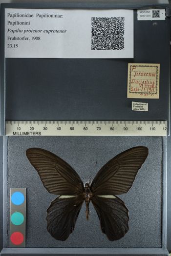 Media type: image;   Entomology 171273